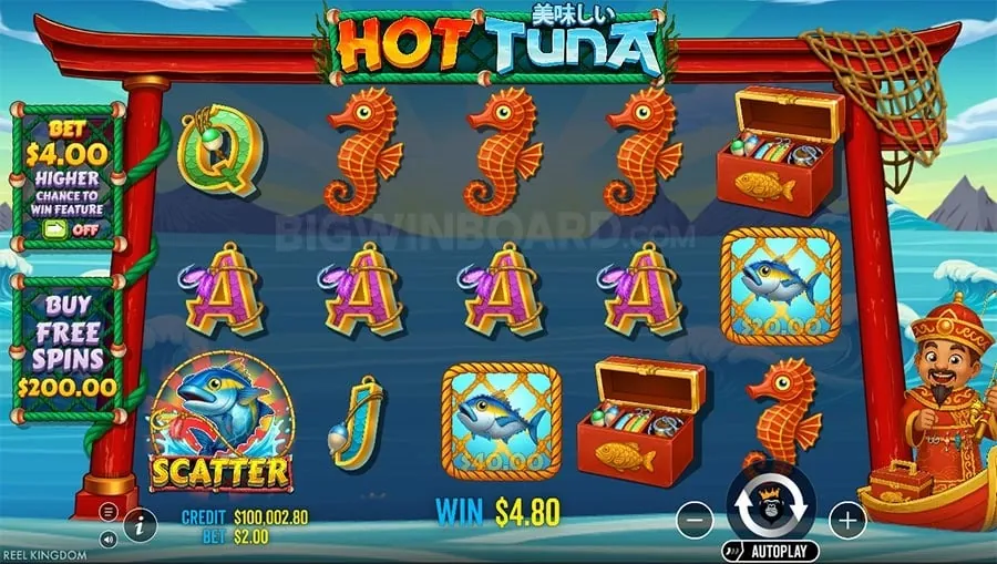 Sports betting interface